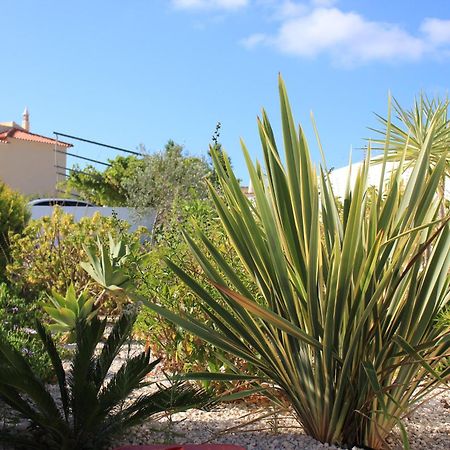 Sunshine Otel Albufeira Dış mekan fotoğraf