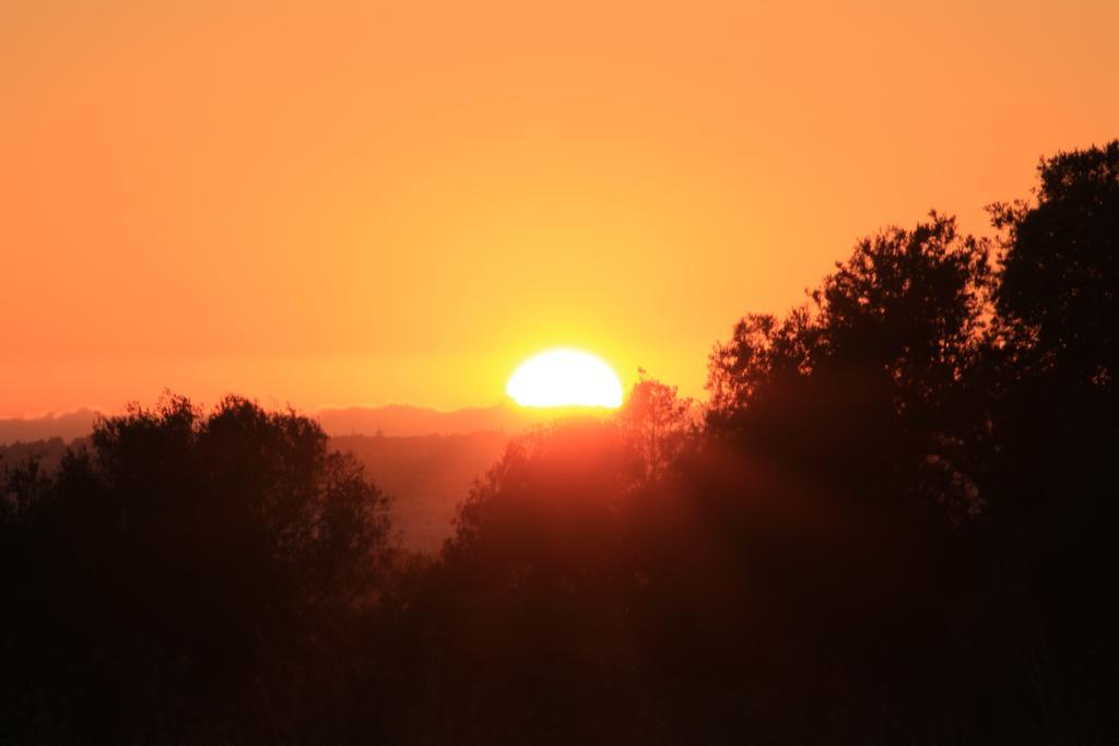 Sunshine Otel Albufeira Dış mekan fotoğraf