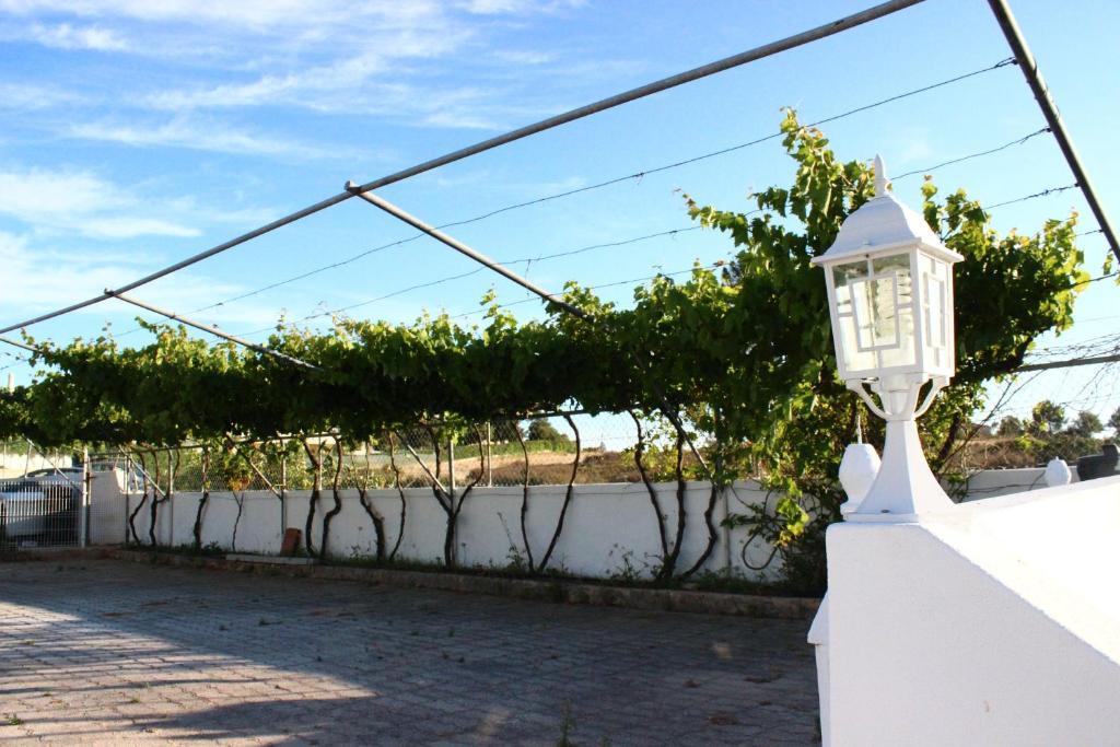 Sunshine Otel Albufeira Dış mekan fotoğraf